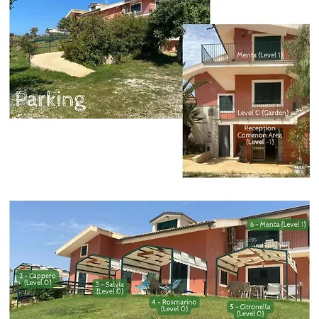 Alficodindia *